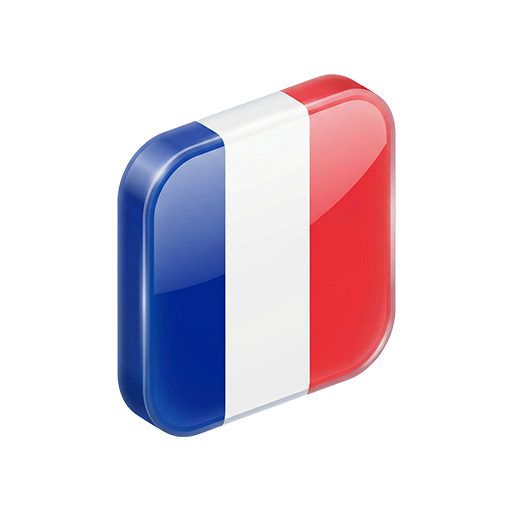 Drapeau français à l'arrivée d'un véhicule importé des États-Unis